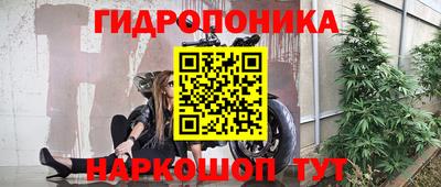 spice Кунгур