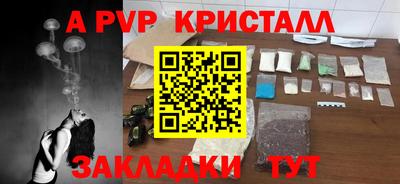 spice Кунгур